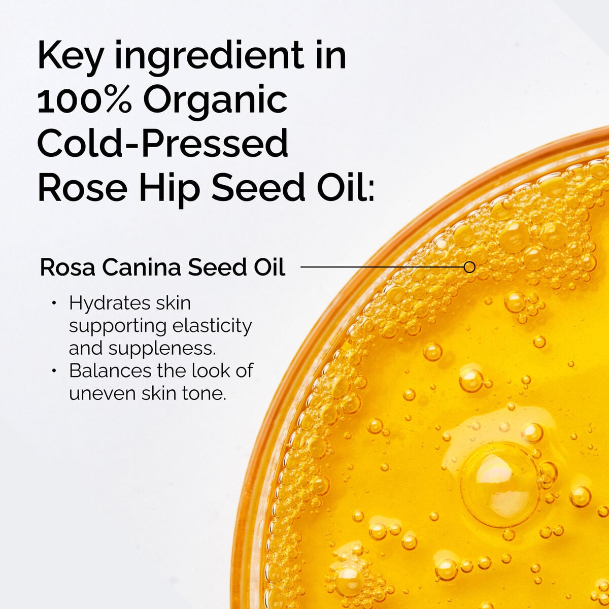 100-organic-cold-pressed-rose-hip-seed-oil-r9 FY25-D41247-ORD-Web-PDP-100-Rose-Hip-Oil-1x1-EN-2.jpg
