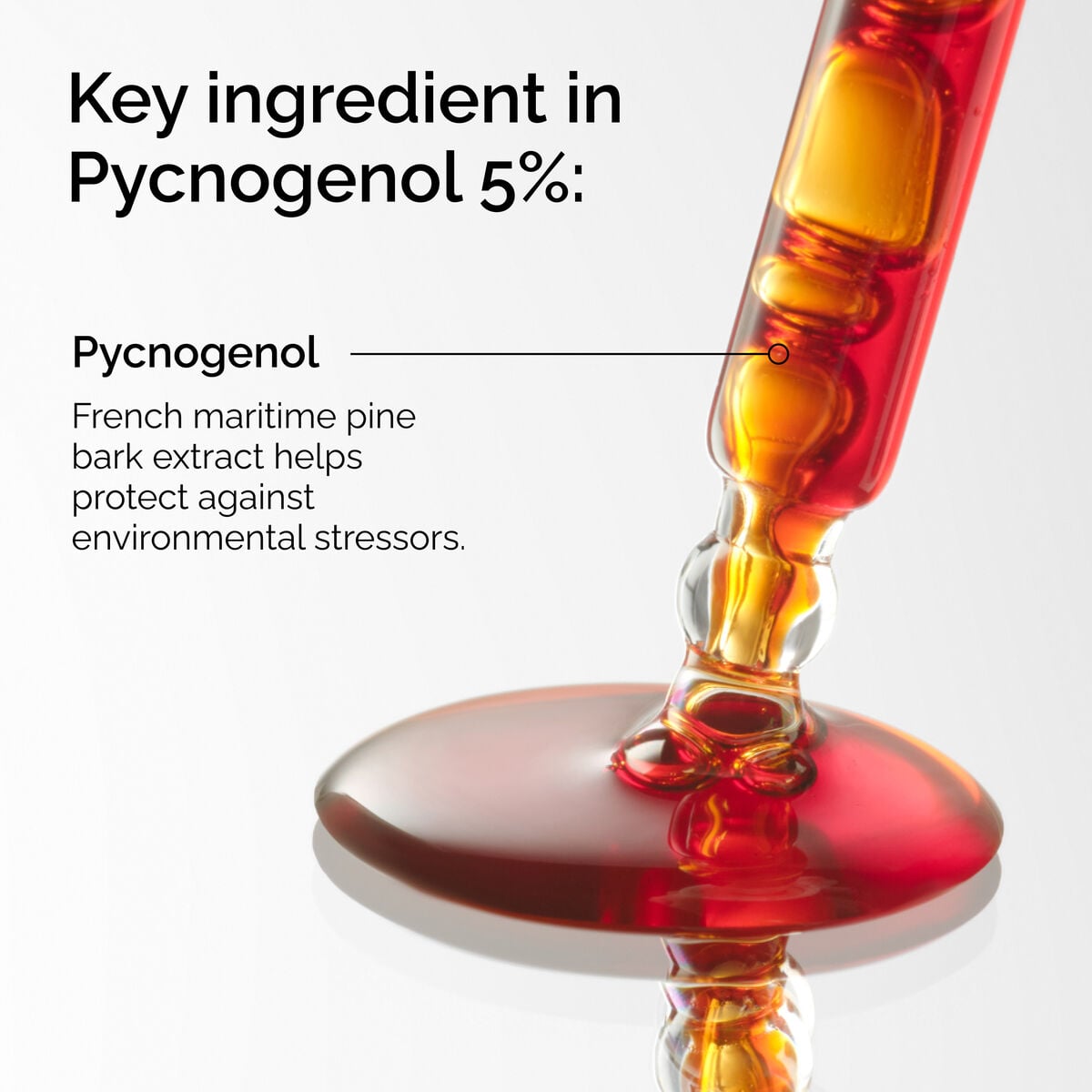 pycnogenol-5-t0 FY25-D41247-ORD-Web-PDP-Pyc-5pct-1x1-EN-2a.jpg
