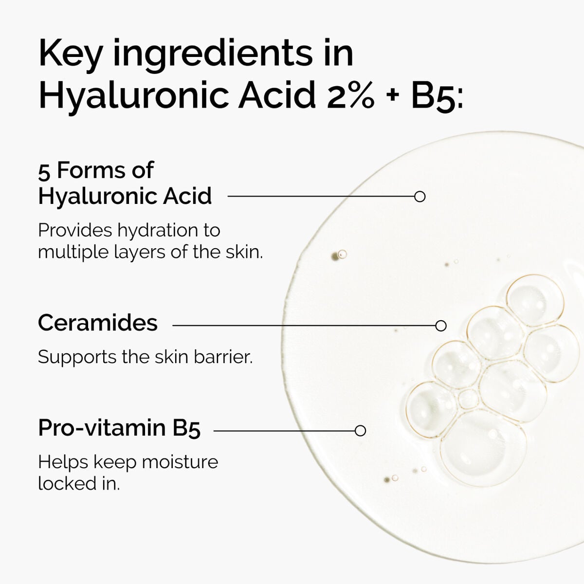 hyaluronic-acid-2-b5-with-ceramides-x7 ord-hyaluronic-acid-2pct-b5-hydrating-serum-ingredients-graphic.jpg
