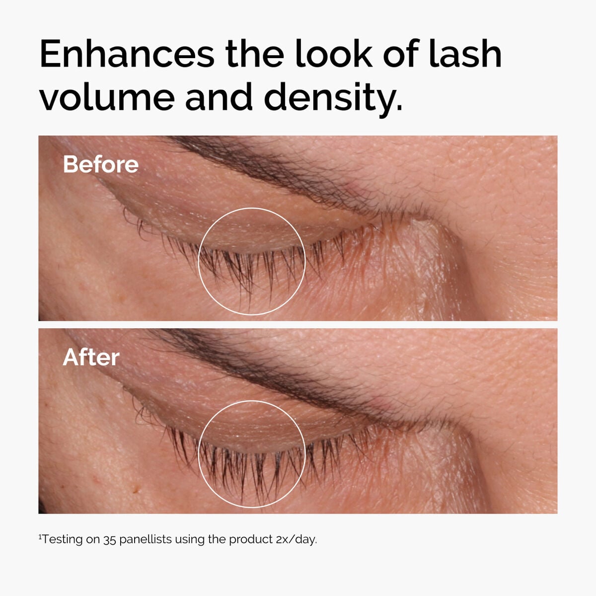 multi-peptide-lash-and-brow-serum-t2 ord-multi-peptide-lash-brow-before-afters-lash-density-graphic.jpg