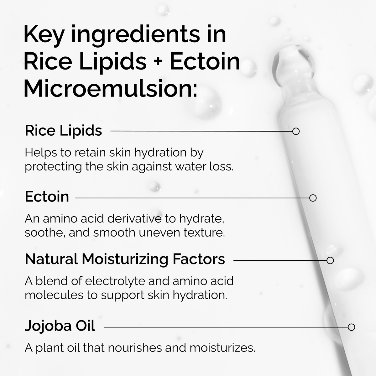 rice-lipids-ectoin-microemulsion-q7 ord-rice-lipids-ectoin-microemulsion-key-ingredients.png