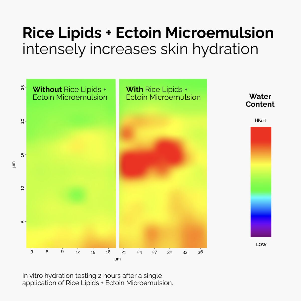 rice-lipids-ectoin-microemulsion-q7 ord-rice-lipids-ectoin-microemulsion-thermal-before-after.jpg